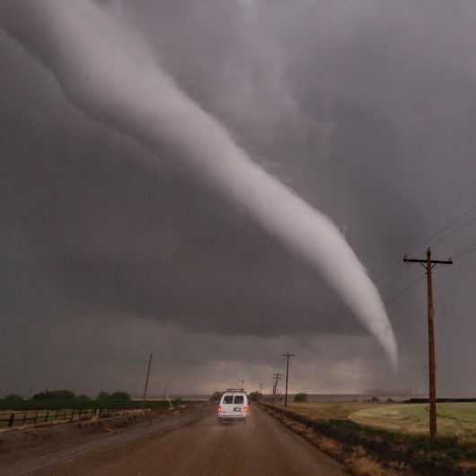 Great Plains Safari Tour