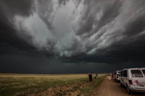 2017 Abott, New Mexico